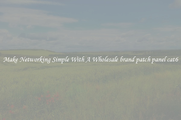 Make Networking Simple With A Wholesale brand patch panel cat6