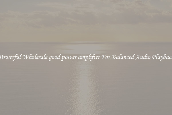Powerful Wholesale good power amplifier For Balanced Audio Playback