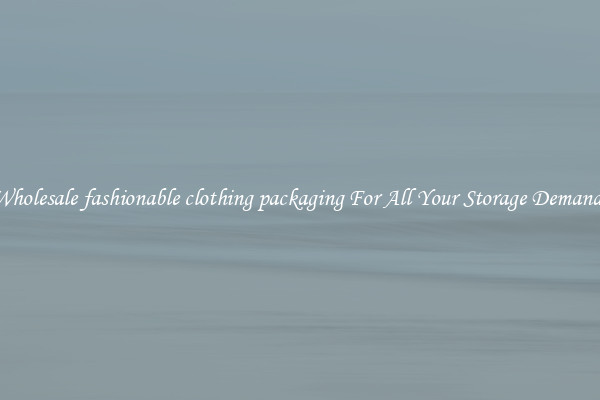 Wholesale fashionable clothing packaging For All Your Storage Demands