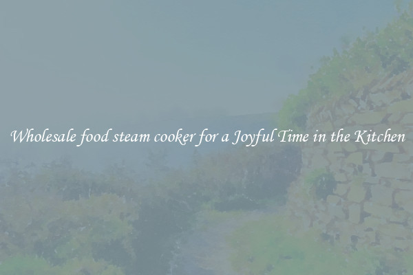 Wholesale food steam cooker for a Joyful Time in the Kitchen
