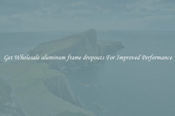Get Wholesale aluminum frame dropouts For Improved Performance