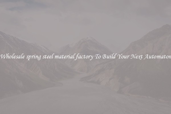 Wholesale spring steel material factory To Build Your Next Automaton