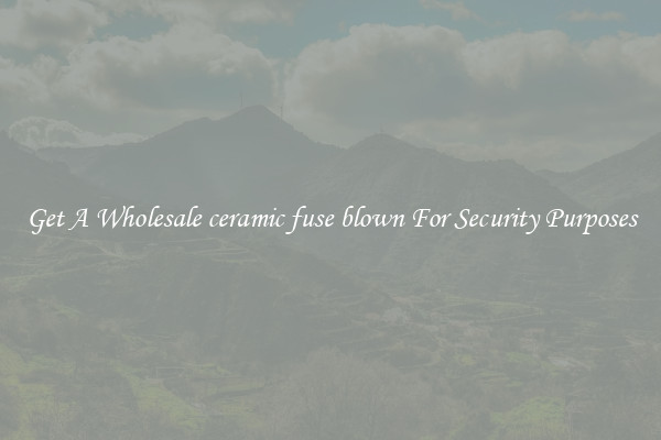 Get A Wholesale ceramic fuse blown For Security Purposes