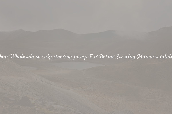 Shop Wholesale suzuki steering pump For Better Steering Maneuverability
