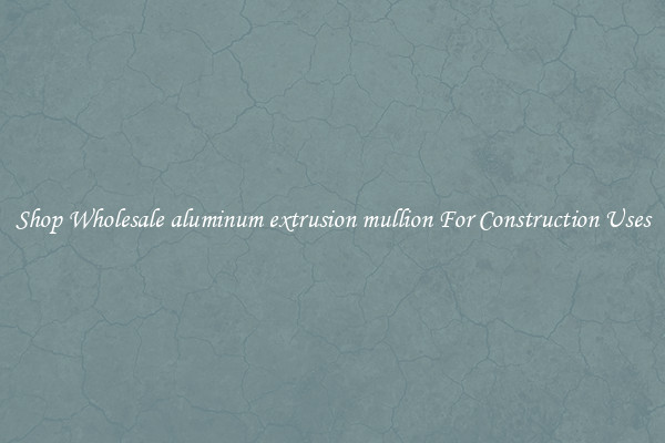 Shop Wholesale aluminum extrusion mullion For Construction Uses