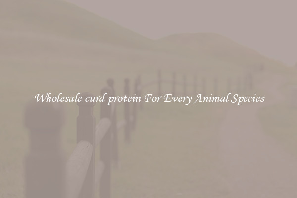 Wholesale curd protein For Every Animal Species