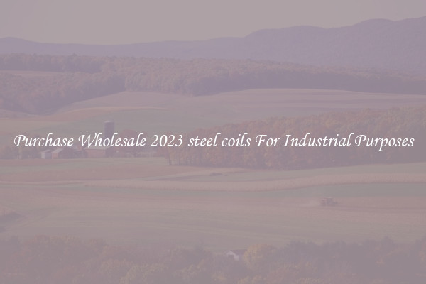 Purchase Wholesale 2023 steel coils For Industrial Purposes