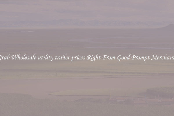 Grab Wholesale utility trailer prices Right From Good Prompt Merchants