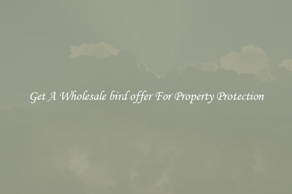 Get A Wholesale bird offer For Property Protection