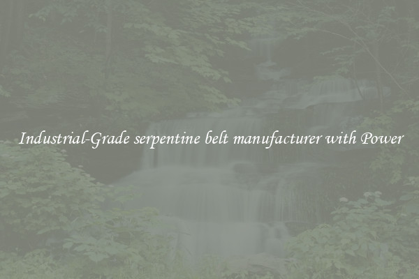 Industrial-Grade serpentine belt manufacturer with Power