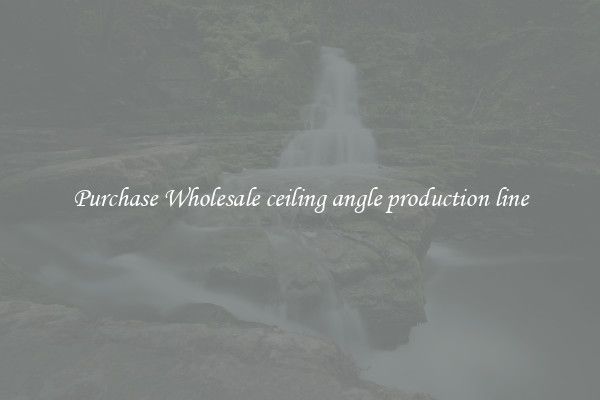 Purchase Wholesale ceiling angle production line