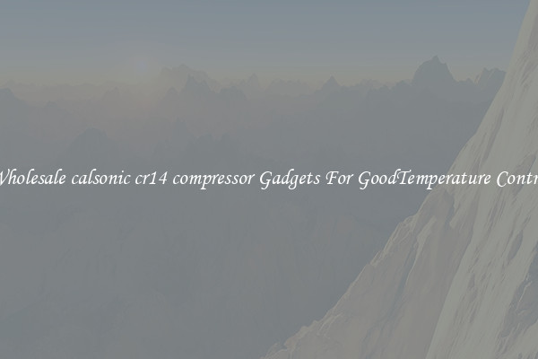 Wholesale calsonic cr14 compressor Gadgets For GoodTemperature Control