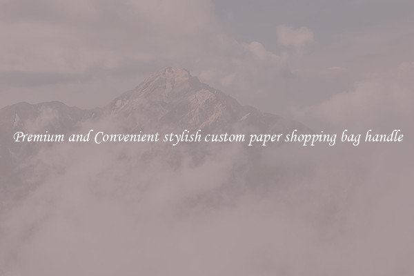 Premium and Convenient stylish custom paper shopping bag handle