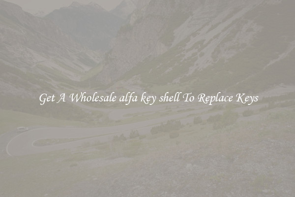 Get A Wholesale alfa key shell To Replace Keys