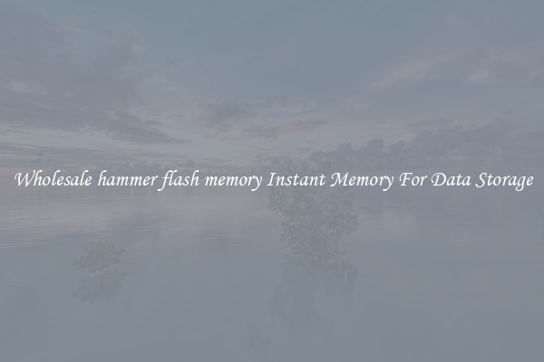 Wholesale hammer flash memory Instant Memory For Data Storage