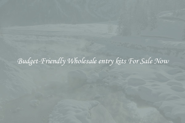 Budget-Friendly Wholesale entry kits For Sale Now