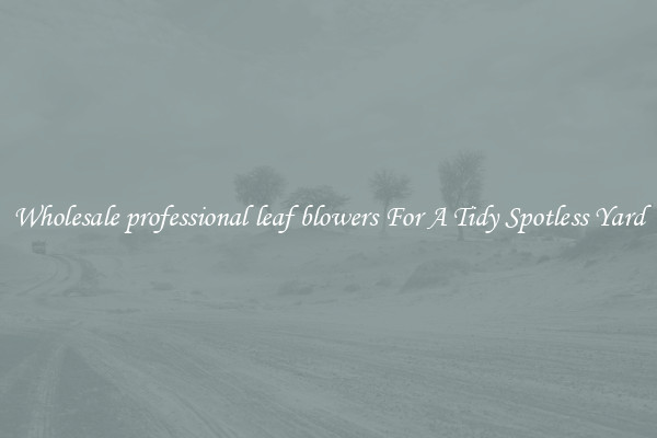 Wholesale professional leaf blowers For A Tidy Spotless Yard