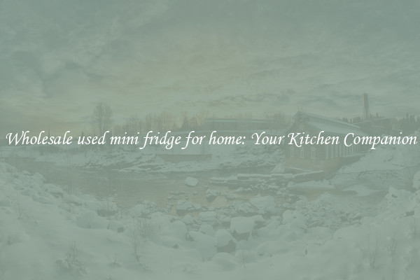 Wholesale used mini fridge for home: Your Kitchen Companion