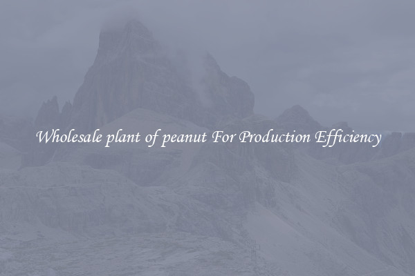 Wholesale plant of peanut For Production Efficiency