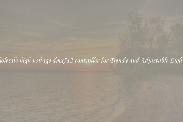 Wholesale high voltage dmx512 controller for Trendy and Adjustable Lighting