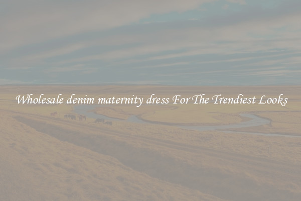Wholesale denim maternity dress For The Trendiest Looks